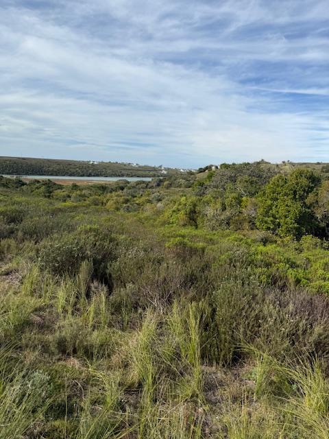 0 Bedroom Property for Sale in Kromme River Estate Eastern Cape